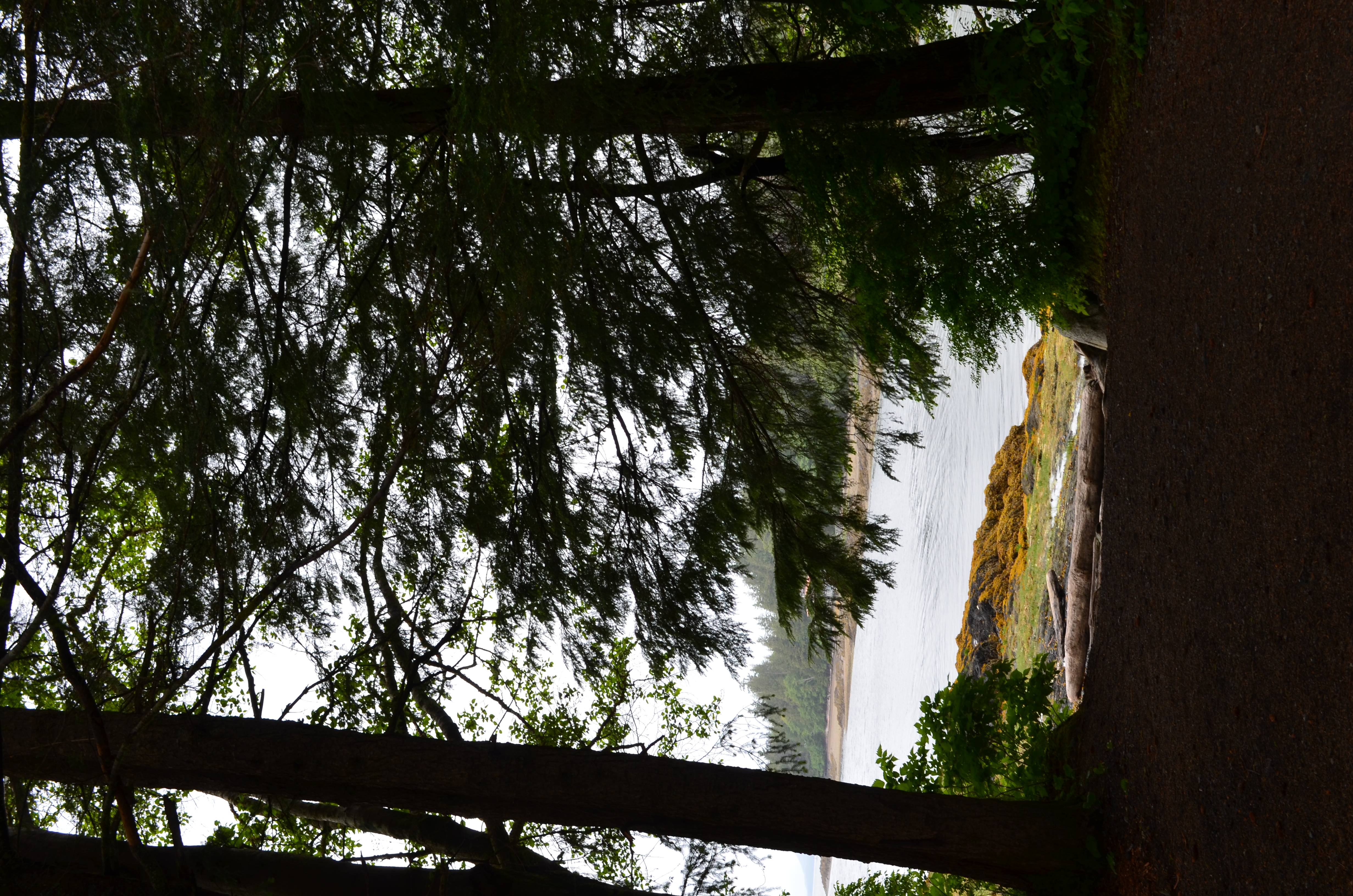 ./2017/08 - Alaska Cruise/11 - Ketchikan/DSC_0479.JPG